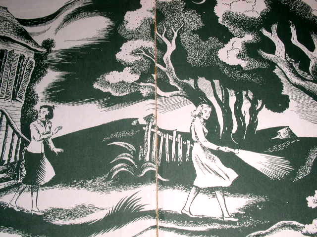 Dana Girls Book, The Mystery of the Bamboo Bird