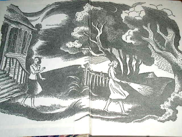 Dana Girls Book, The Secret of Lost Lake