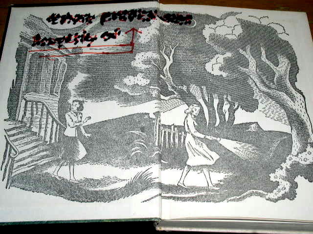 Dana Girls Book, The Mystery of the Stone Tiger