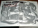 Dana Girls Book, The Mystery of the Stone Tiger