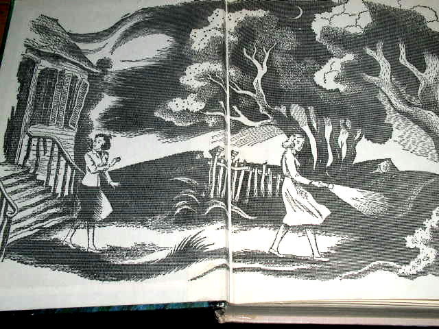 Dana Girls Book, The Secret of the Silver Dolphin