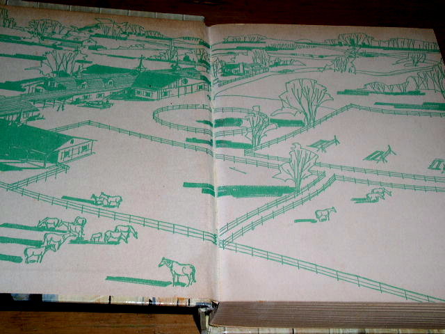Timber Trial Riders - The Texas Tenderfoot Book