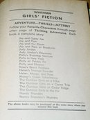 The Blythe Girls, Helen's Strange Boarder Book