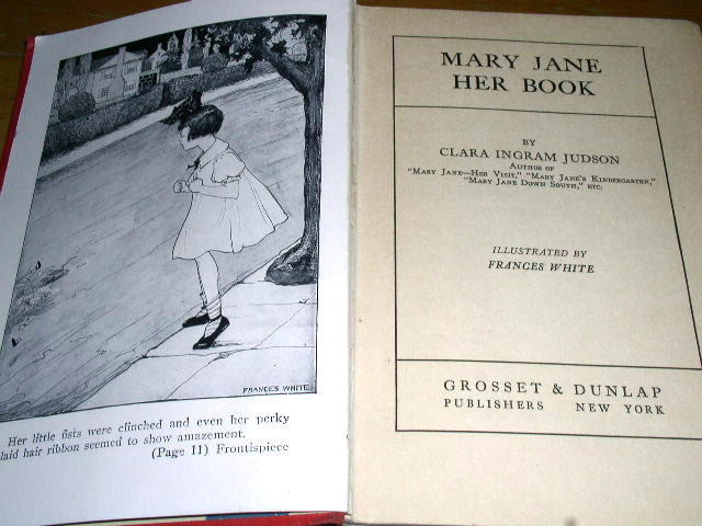 Mary Jane - Her Book