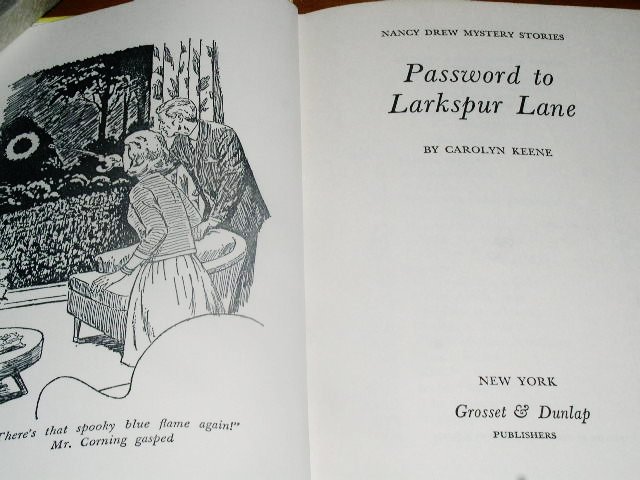 Nancy Drew, Password to Larkspur Lane Book