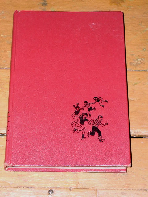 The Happy Hollisters and the Sea Turtle Mystery Book