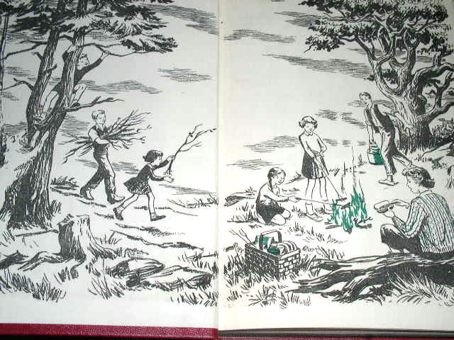 The Happy Hollisters and the Sea Turtle Mystery Book