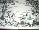 The Happy Hollisters and the Sea Turtle Mystery Book