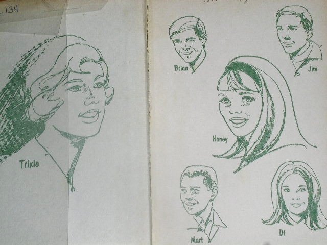 Trixie Belden, The Mystery of The Blinking Eye Book