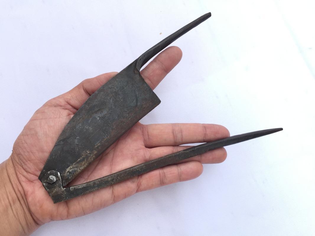 FREE POSTAGE 215mm XXXL LARGE IRON CUTTER Betel Nut Borneo India VINTAGE ANTIQUE