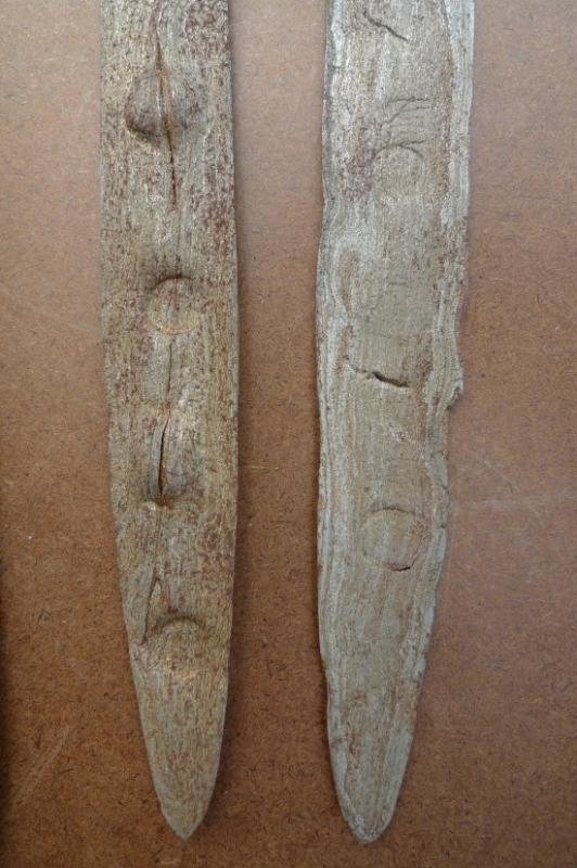 500 Years MALE & FEMALE(1 Pair) KERIS 230mm KRIS SAJEN MAJAPAHIT KNIFE WEAPON