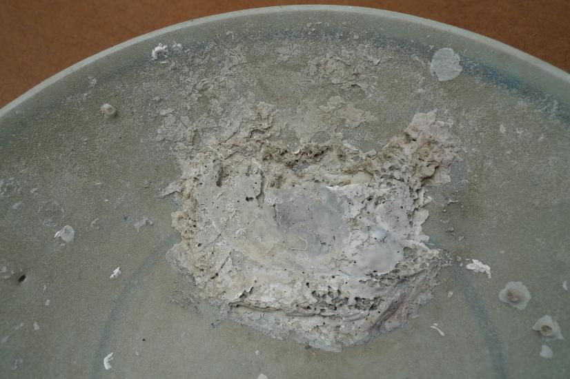GREAT MING (1368-1644) DISH / BOWL / PLATE Dynasty Underwater Dine Porcelain #2