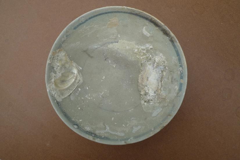 SUNKEN WRECK (1368-1644) MING DISH / BOWL / PLATE Glazed Underwater Porcelain #3