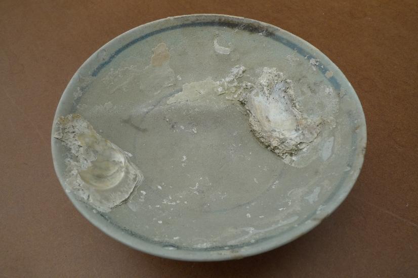 SUNKEN WRECK (1368-1644) MING DISH / BOWL / PLATE Glazed Underwater Porcelain #3