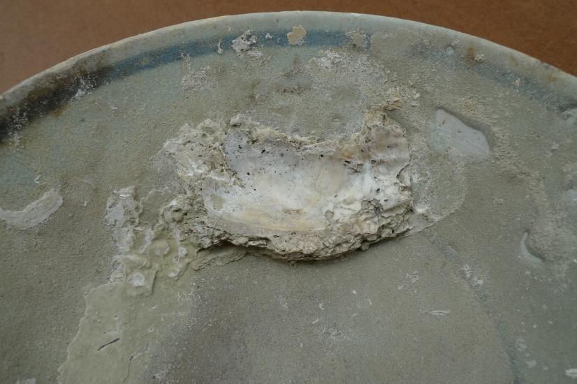SUNKEN WRECK (1368-1644) MING DISH / BOWL / PLATE Glazed Underwater Porcelain #3