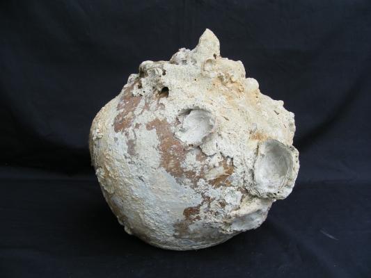 ANTIQUE AUTHENTIC Sung Dynasty Pot ~LARGE Clam & CORAL Sea artifact