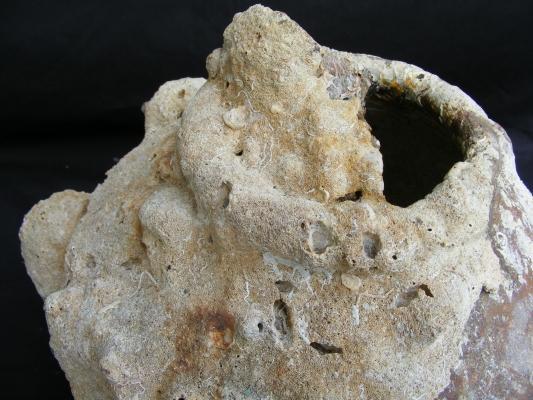 ANTIQUE AUTHENTIC Sung Dynasty Pot ~LARGE Clam & CORAL Sea artifact