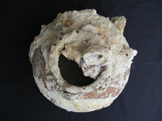 ANTIQUE AUTHENTIC Sung Dynasty Pot ~LARGE Clam & CORAL Sea artifact