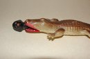Celluloid Alligator Letter Opener