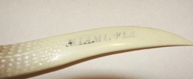 Celluloid Alligator Letter Opener