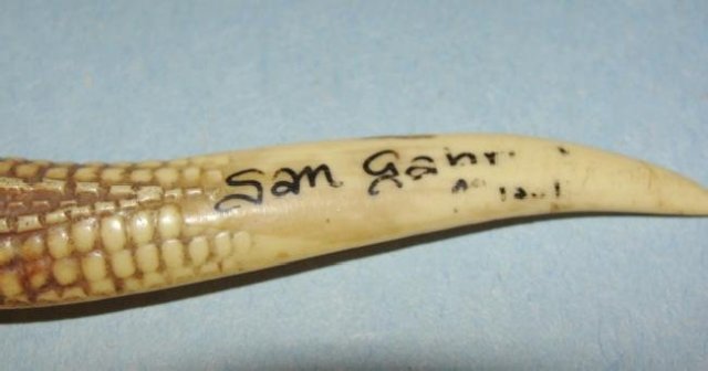 Mini Celluloid Alligator Letter Opener