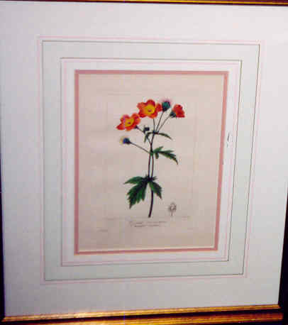4 Handcolored Engravings