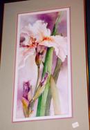 Original Watercolor by Shirle Bedient