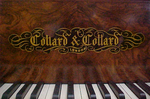 79.1586 Antique Collard & Collard Burl Wood Art Case 6'7