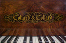 79.1586 Antique Collard & Collard Burl Wood Art Case 6'7