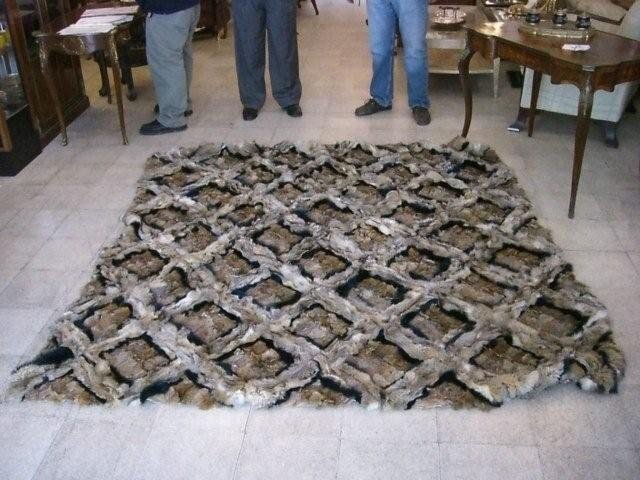 7083 Gray Fox Skin Rug (Diagonal Pattern)