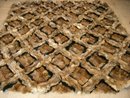 7083 Gray Fox Skin Rug (Diagonal Pattern)