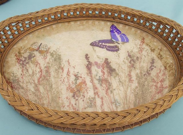 Two Lovely Butterfly Trays