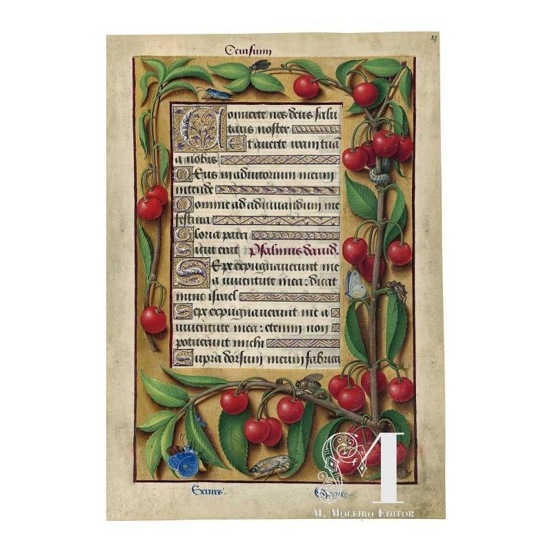 Folder of 5 prints from the Great Hours of Anne of Brittany