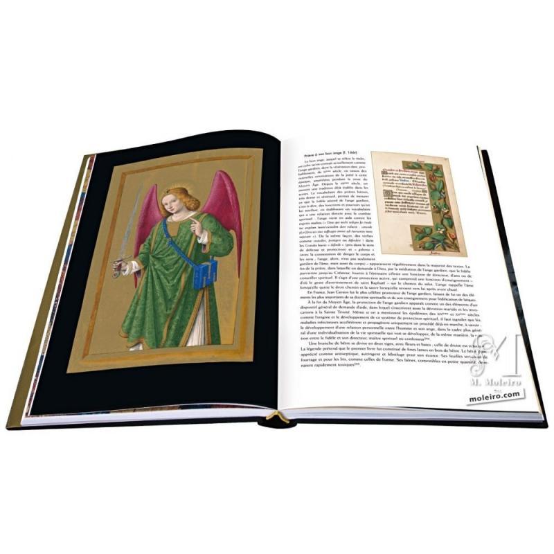 Great Hours of Anne of Brittany Deluxe Art Book Edition