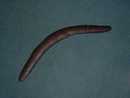 ABORIGINAL BOOMERANG
