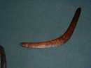 TRIBAL BOOMERANG