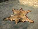 Tiger skin rug with stuffed head