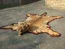 Tiger skin rug with stuffed head