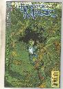The Books of Magic #34 comic book mint 9.8