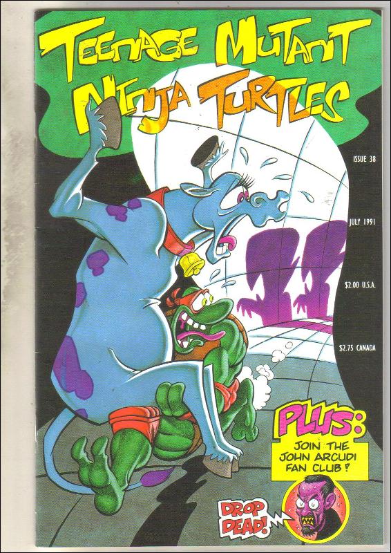 Teenage Mutant Ninja Turtles #38 comic book near mint 9.4
