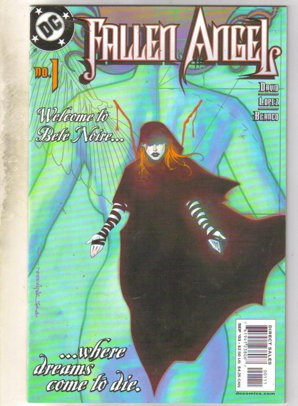 Fallen Angel #1 comic book near mint 9.4