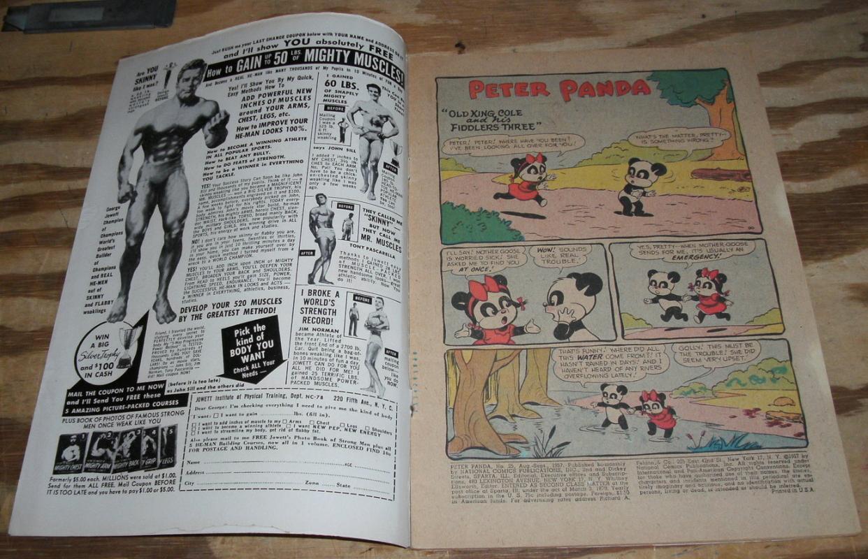 Peter Panda #25 comic book vg 4.0