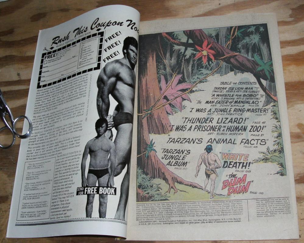 Tarzan Lord of the Jungle #234 comic book very fine 8.0