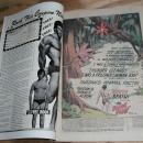 Tarzan Lord of the Jungle #234 comic book very fine 8.0