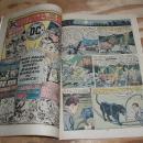 Tarzan Lord of the Jungle #234 comic book very fine 8.0