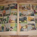 Authentic Police Cases #13 comic vg+ 4.5