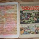 Authentic Police Cases #13 comic vg+ 4.5