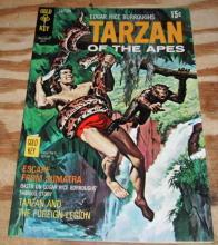 Tarzan of the Apes #193 comic book nm 9.4