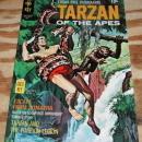 Tarzan of the Apes #193 comic book nm 9.4