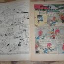 Woody Woodpecker #21 comic book vg 4.0